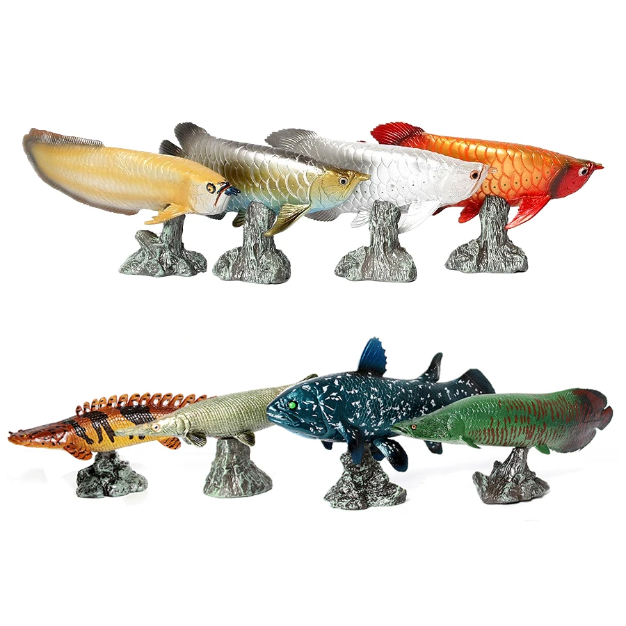 Kids Toys Reviews - Arowana Pirarucu Coelacanth Bichir Alligator Vis