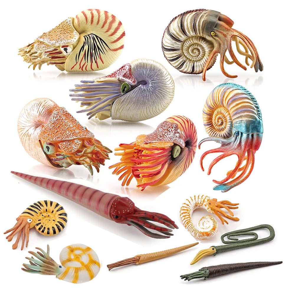 Kids Toys Reviews - Marine speelgoeddieren Nautilus figuur Cameroceras Ammonieten