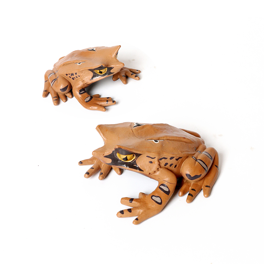 Regenwoud Dieren Kikkers Beeld - Kids Toys Reviews recensie en prijs