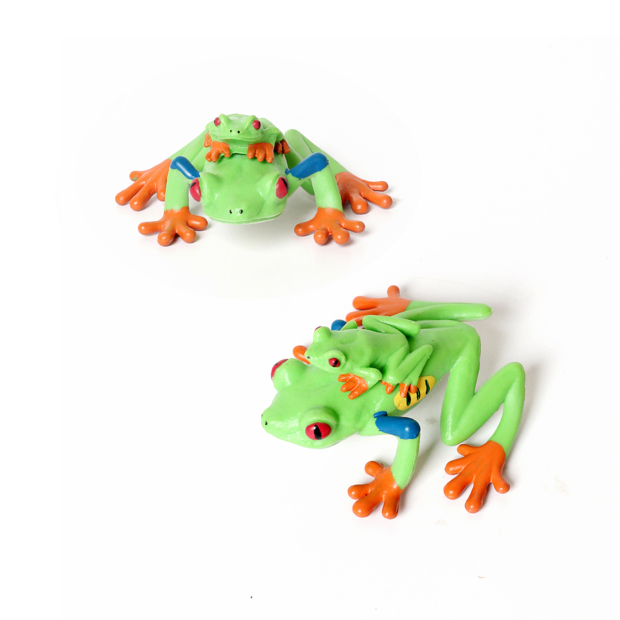 Regenwoud Dieren Kikkers Beeld - Kids Toys Reviews recensie en prijs