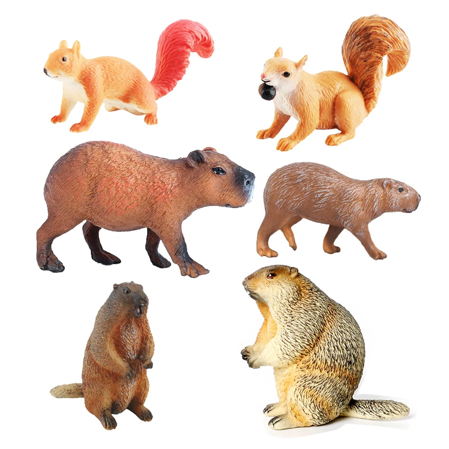 Capibara Capibara's Eekhoorn M - Kids Toys Reviews recensie en prijs
