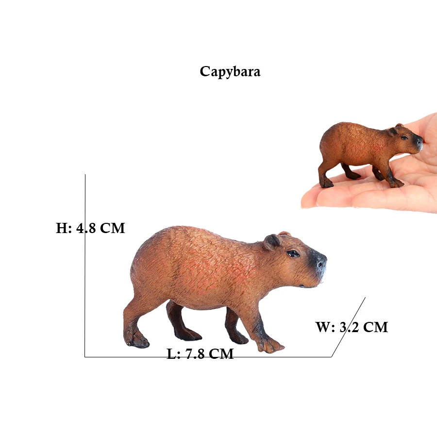 Capibara Capibara's Eekhoorn M - Kids Toys Reviews recensie en prijs