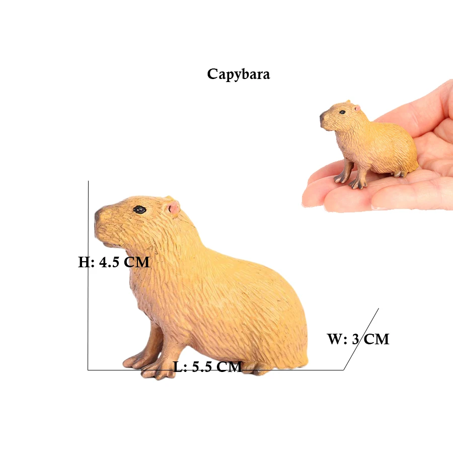 Capibara Capibara's Eekhoorn M - Kids Toys Reviews recensie en prijs