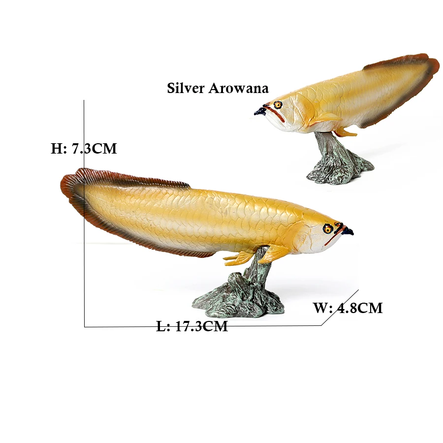Arowana Pirarucu Coelacanth Bi - Kids Toys Reviews recensie en prijs