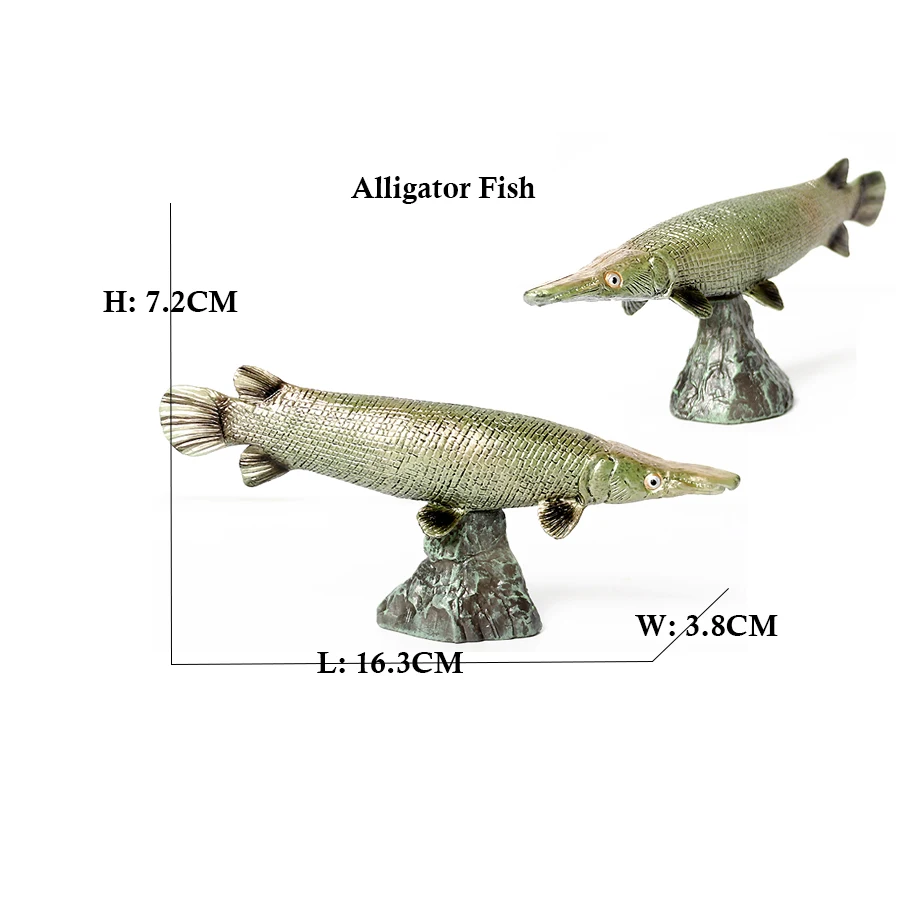 Arowana Pirarucu Coelacanth Bi - Kids Toys Reviews recensie en prijs
