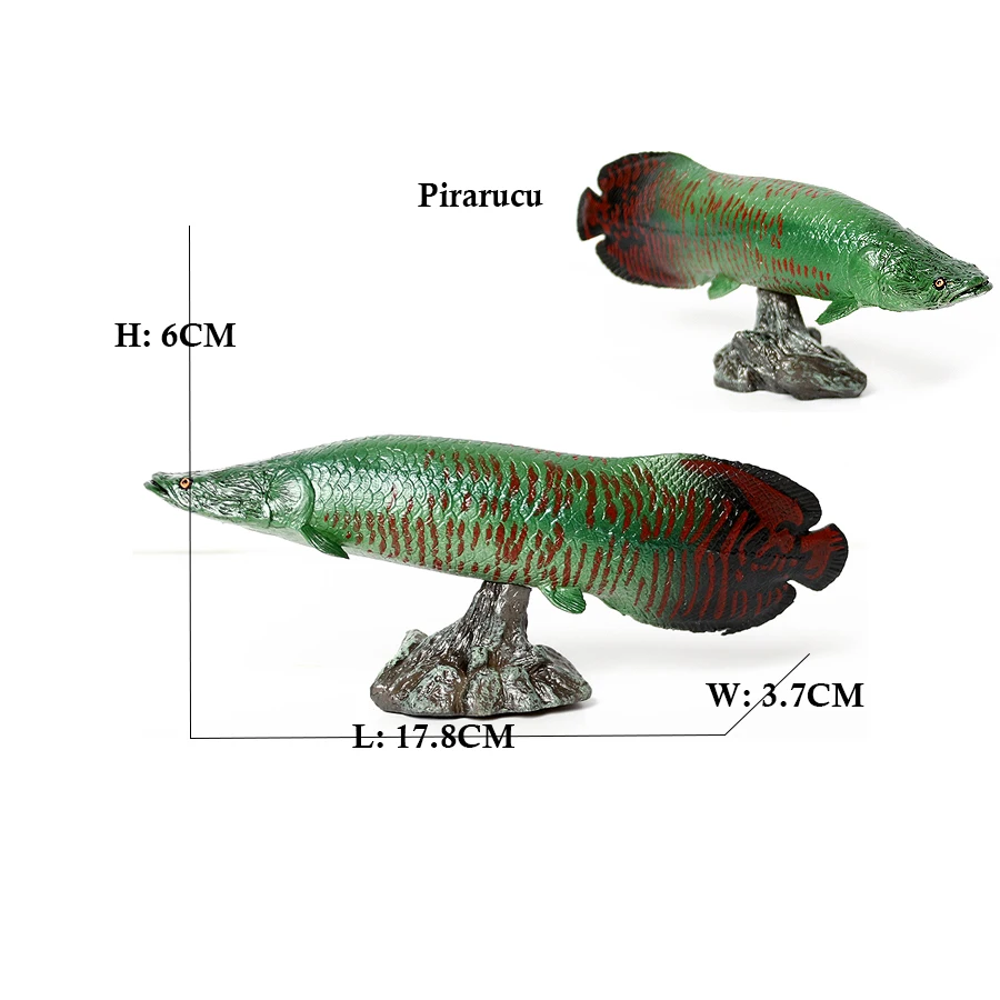 Arowana Pirarucu Coelacanth Bi - Kids Toys Reviews recensie en prijs