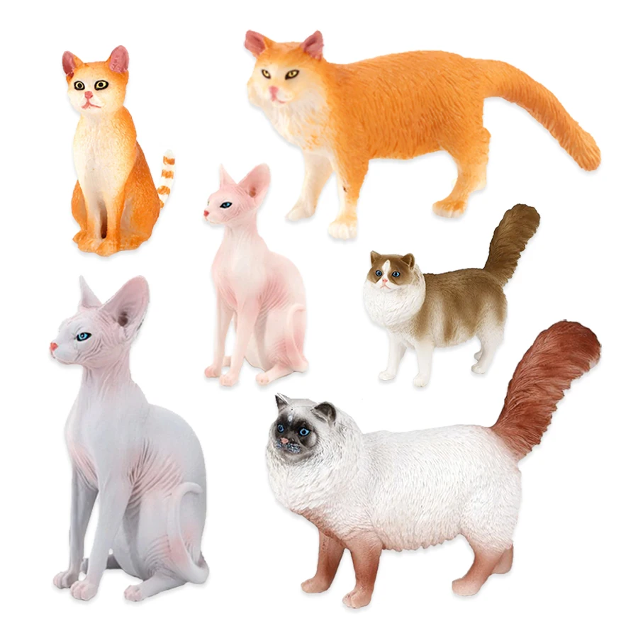 Kat Model Speelgoed Boerderijd - Kids Toys Reviews recensie en prijs