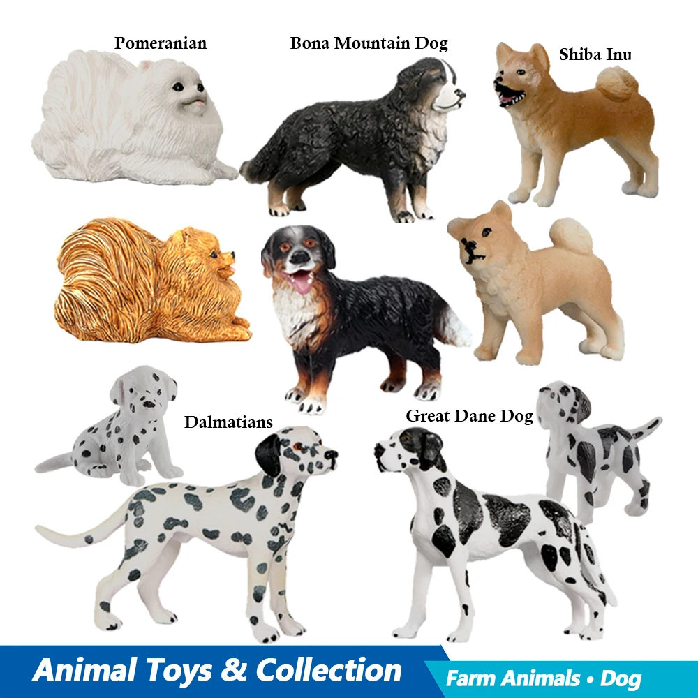 Labrador Poedel Rottweiler Bon - Kids Toys Reviews recensie en prijs