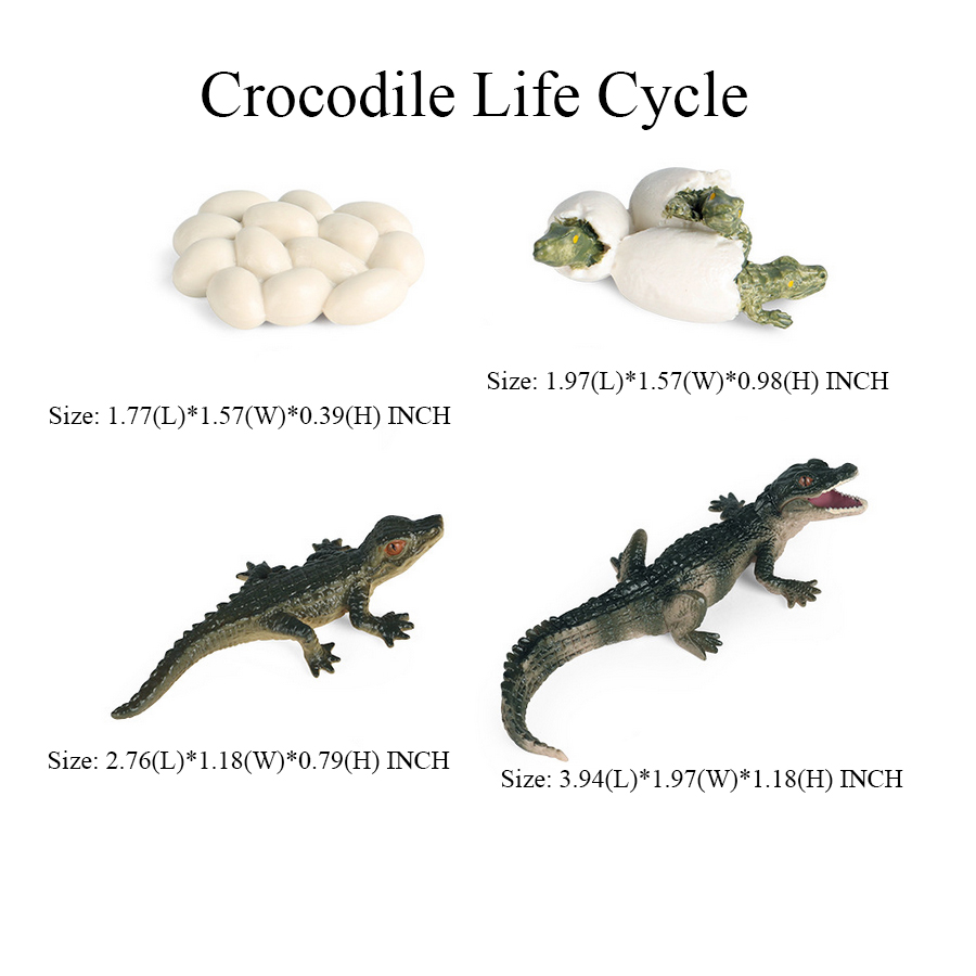 Speelgoed van krokodil Figuur  - Kids Toys Reviews recensie en prijs